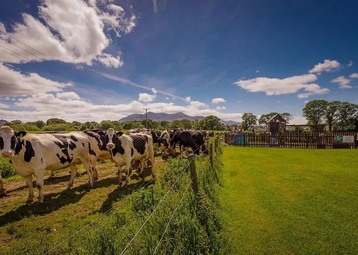 Rookery Mews - Self Catering Appartement